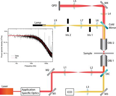 Examining the Effect of Kindlin-3 Binding Site Mutation on LFA-1-ICAM-1 Bonds by Force Measuring Optical Tweezers